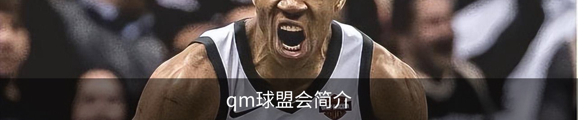 qm球盟会简介